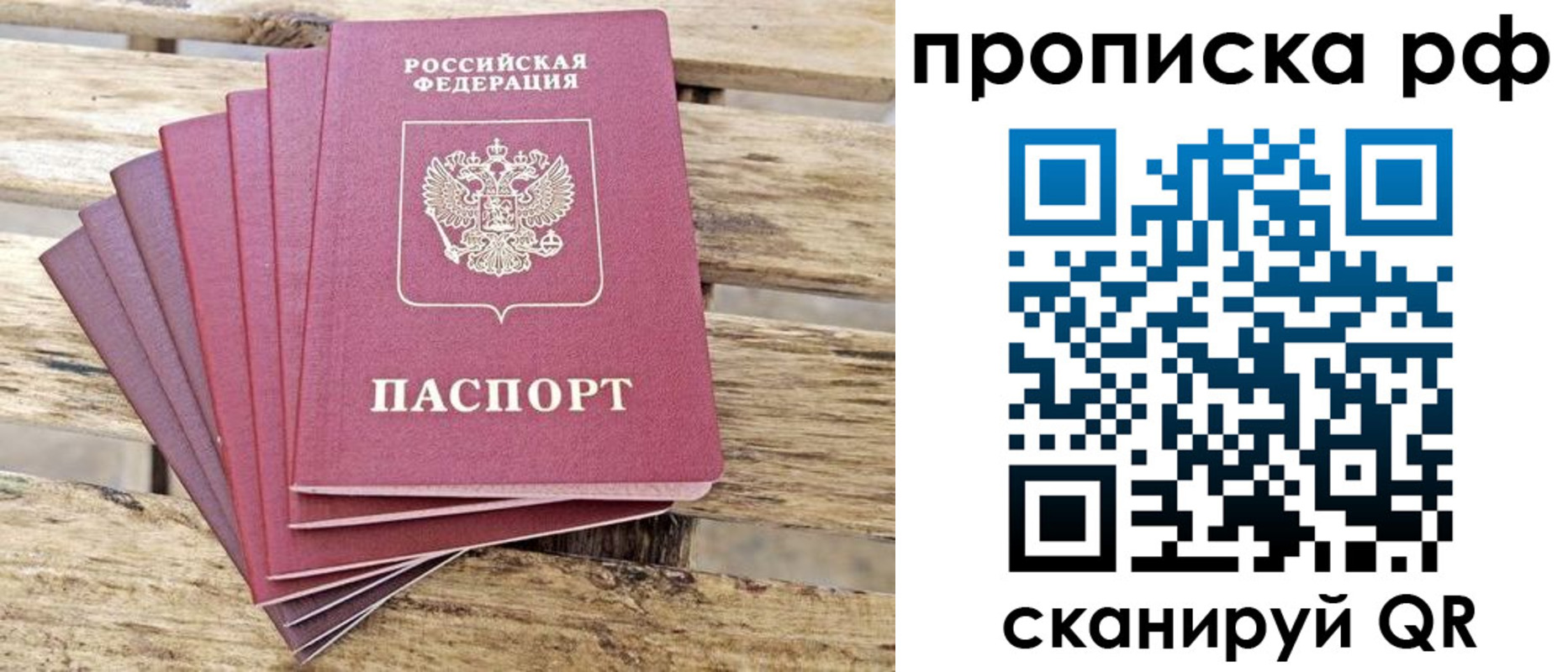 прописка гарантия в Новоузенске